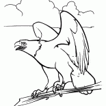 Kartal ve Ruh