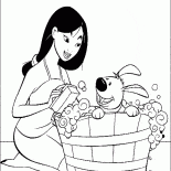 Mulan ve Köpek
