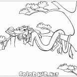Tatile Mushu