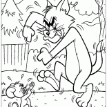 Tom ve Jerry sparring