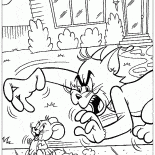 Tom Jerry yakalar