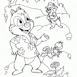 Ormanda Chip ve Dale