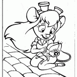 Gadget ve Fermuar