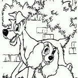 Lady and the Tramp bir yürüyüşe