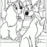 Gerçek arkadaşlar Haberleşme