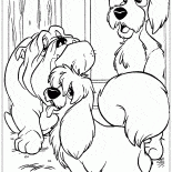 Tramp ve arkadaşları