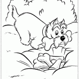 Kemiklerin Önbellek