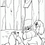 Başıboş köpekler