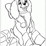 Noel köpek