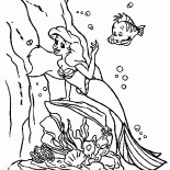 The Little Mermaid ve Pisi