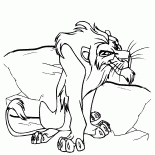 Scar Amca
