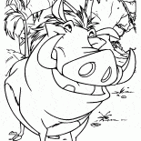 Timon ve Pumba