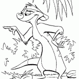 Felsefeci-meerkat