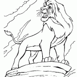 Kaya üzerinde Simba