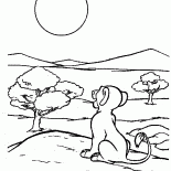 Simba ve güneş