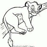 Ağaç Simba