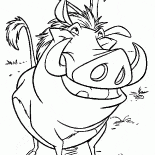 Pumbaa ve komik meerkat