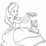 Alice yavru kedi ile oynuyor