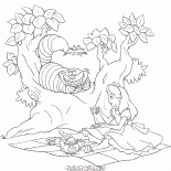 Cheshire Cat Çay partisi