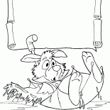 Beyaz Tavşan yüzen