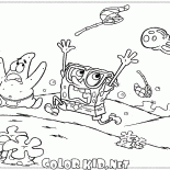 Bir kovalamaca Denizanası