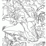 Tarzan ve Jane