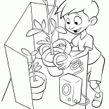 Lewis hakimler çiçekler