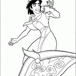 Aladdin sinekler