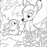 Hare ve Bambi