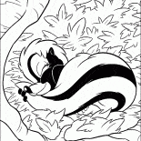 Tatile Skunk
