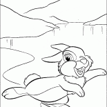 Bir buz üzerinde Hare