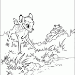Bambi ve Kurbağa