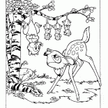 Opossum ve Bambi