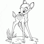 Meadow bambi