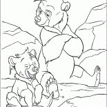 Koda ve Kenai