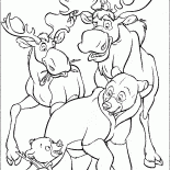 Mooses ve ayılar