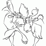 Mooses eğlenmek