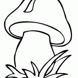 Cogumelo