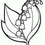 Lírio do vale