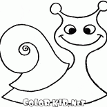 Caracol na caminhada