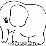 Elefante pequeno