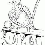 Flintin Parrot