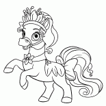 Pony Waterlily