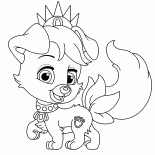 Köpek Buddy
