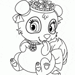 Panda Çiçeği