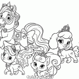 Evcil Disney