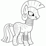 Zekora - Stilist