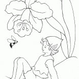 Elf ve yaban arısı