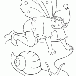 Peri salyangoz