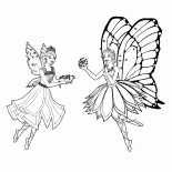 Mariposa ve Catania